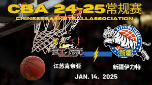 高昂的转会
